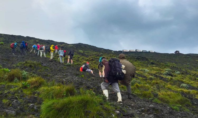 2022 Hiking Permit For Nyiragongo in Congo